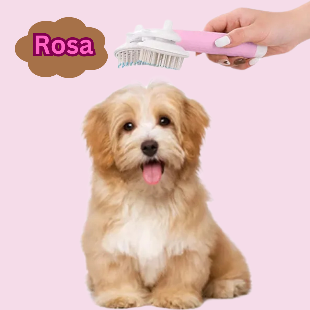 Fellglanz 3-in-1 für Petbrush