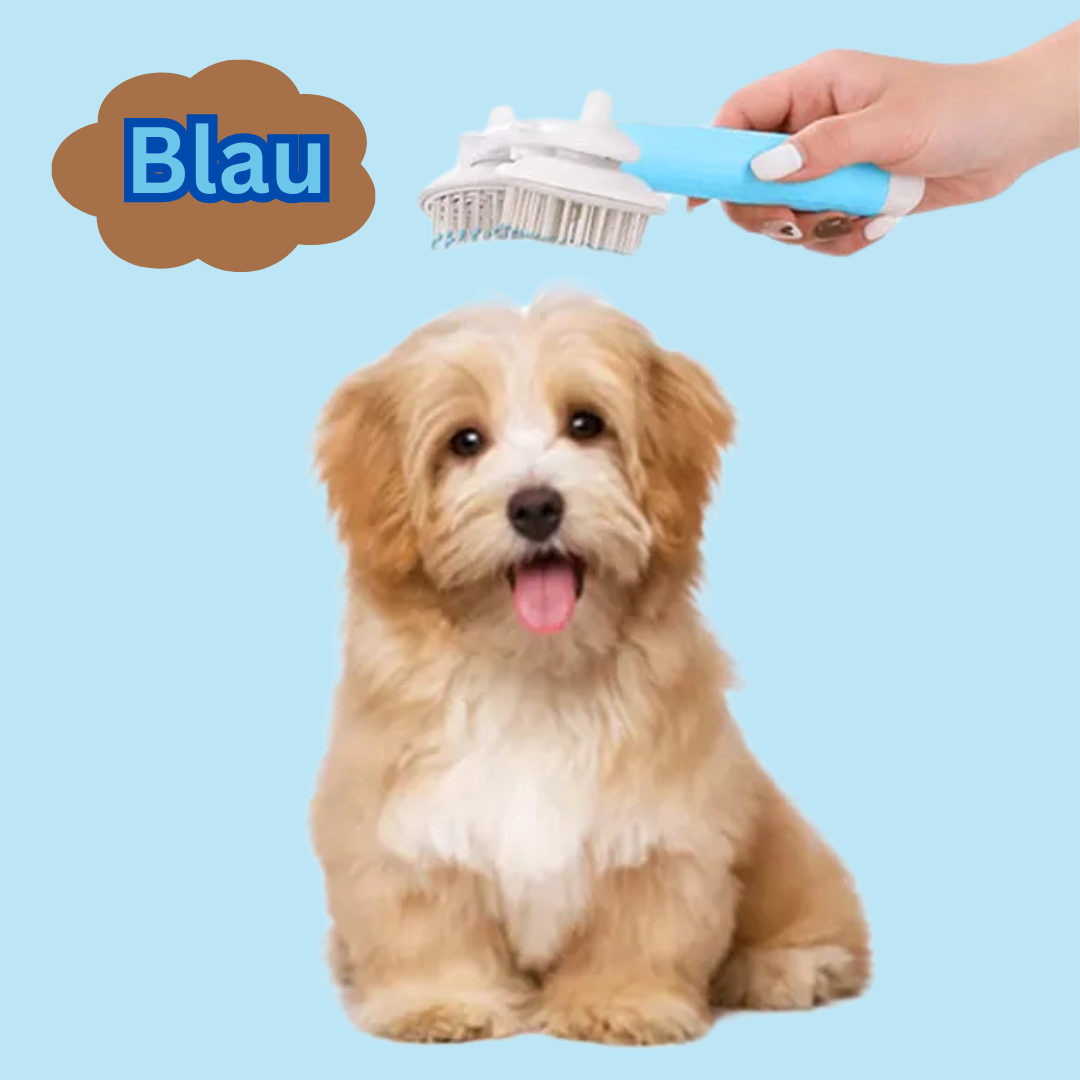 Fellglanz 3-in-1 für Petbrush